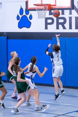 Lynx-Playoff-Game-12-of-72