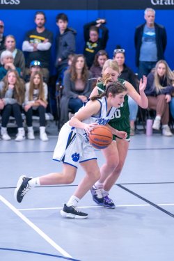Lynx-Playoff-Game-18-of-72