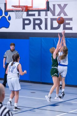 Lynx-Playoff-Game-32-of-72