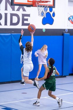 Lynx-Playoff-Game-45-of-72