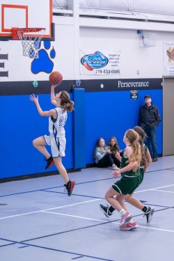Lynx-Playoff-Game-48-of-72