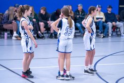 Lynx-Playoff-Game-5-of-72