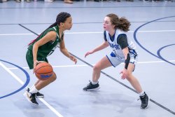 Lynx-Playoff-Game-57-of-72