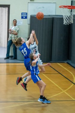 Lynx-Championship-Game-25-of-85