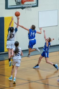 Lynx-Championship-Game-57-of-85