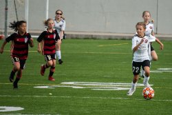 Red-08G-Game-1-2-of-31